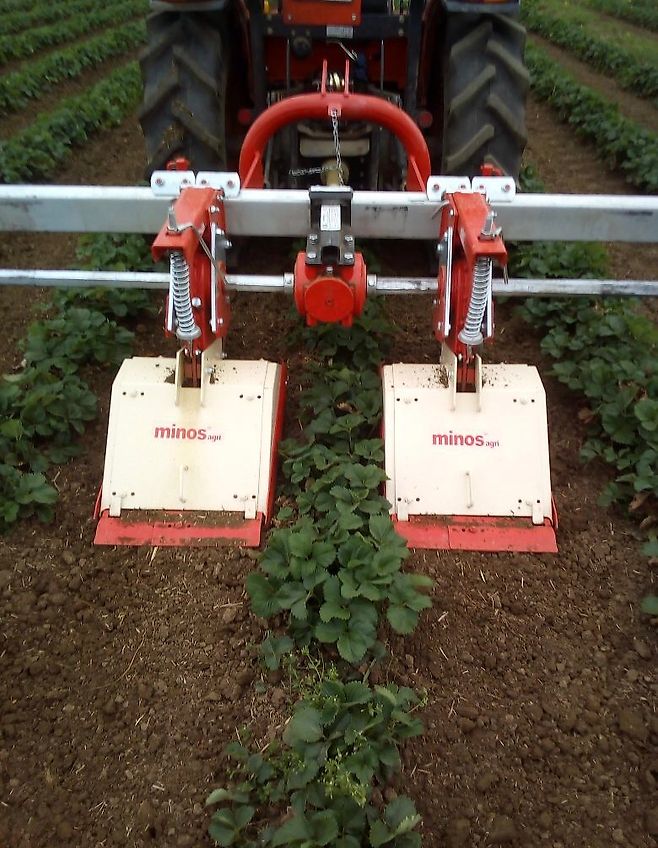 Minos Agri Reihenfräse T-SCM-2-A