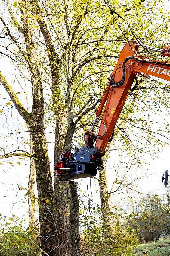 TREE HUGGER TH 4000 S Fällgreifer /Baumschere /Fällkopf für Bagger-***Aktionsangebot***